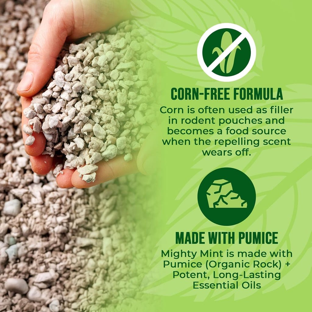 Mighty Mint Mouse Repellent Pouches – Peppermint, Castor Oil & Cinnamon Formula – Natural Indoor Deterrent For Mice And Rodents – Plant-Based, Long-Lasting Protection – 12 Count