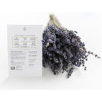 Sereniseed Certified Organic Herb Seeds (10-Pack) – Non Gmo, Heirloom – Seed Starting Video - Basil, Cilantro, Oregano, Thyme, Parsley, Lavender, Chives, Sage, Dill Seeds For Indoor & Outdoor Planting