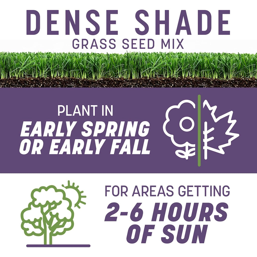 Pennington Smart Seed Dense Shade Grass Mix 3 Lb