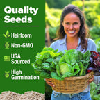Home Grown Lettuce Seeds 5 Variety Mix 3950+ Bulk Pack Heirloom Non-Gmo, High Germination, Romaine, Bibb, Buttercrunch, Iceberg, Black Seeded Simpson, Indoor Outdoor Hydroponic Garden (Lactuca Sativa)