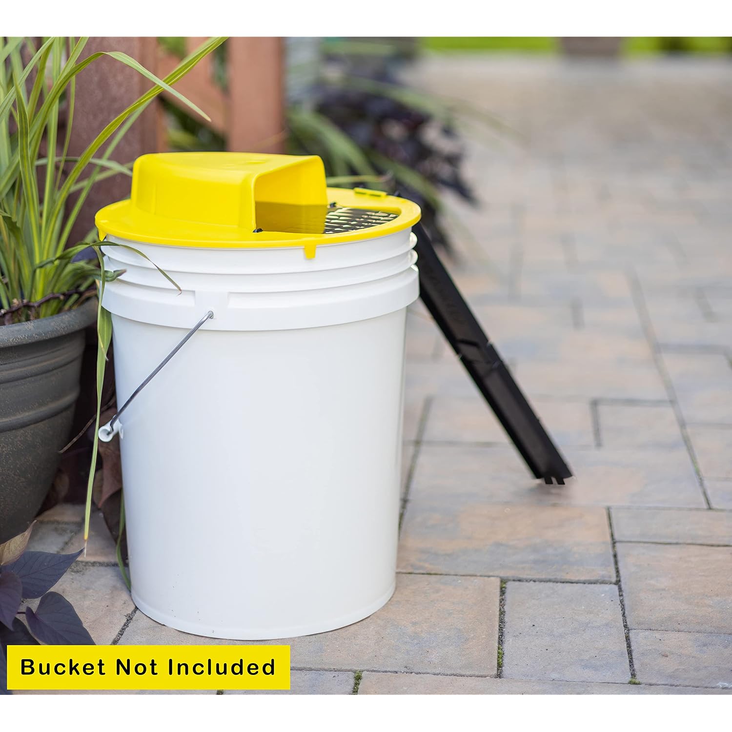 Rinnetraps - Flip N Slide Bucket Lid Mouse Trap |2 Pack| |Multi Catch| |Made In Usa | Us Pat D1,039,648S