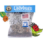 Natures Good Guys 1500 Live Ladybugs - Good Bugs- Ladybugs - Guaranteed Live Delivery!