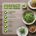 Nature Jim'S Sprouts Organic Salad Mix – Alfalfa, Radish, Clover Seed, 1Lb | Non-Gmo Microgreen Seeds - Fast-Growing Plants - Ideal Sprouting Seeds For Fresh & Nutritious Indoor/Outdoor Home Gardening