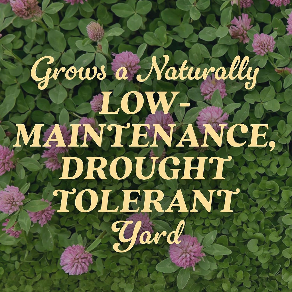 O.M. Scott & Sons Strawberry Clover Seed, 2 Lbs. | Lawn Seed Grows A Naturally Low Maintenance, Drought-Tolerant Lawn, 1,000 Sq. Ft.