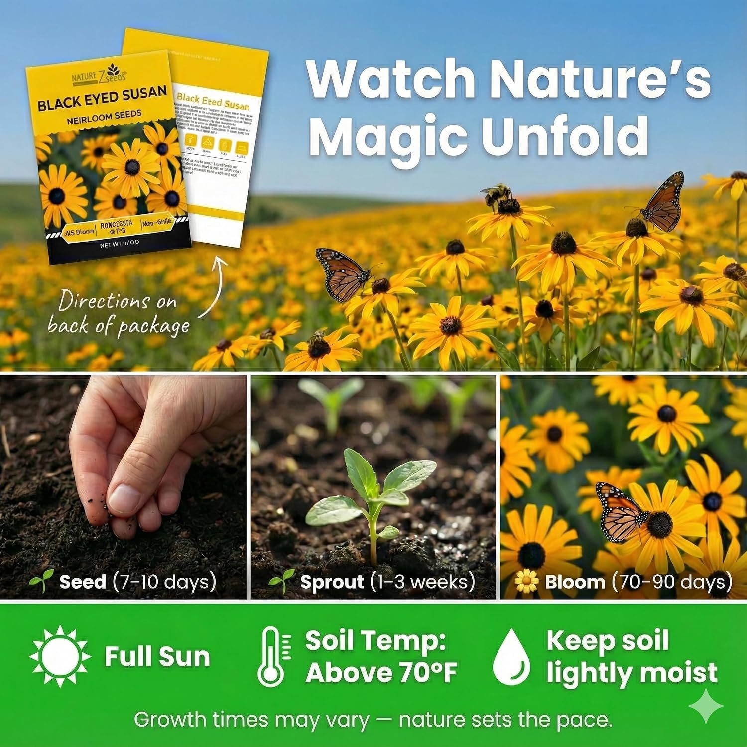 Black Eyed Susan Seeds For Planting, 5000 Seeds, Giving You Beautiful Black Eyed Susan Flowers, Non-Gmo, Heirloom Seed Varieties