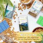 Wax Melts Wax Cubes, Soy Wax Cubes For Wax Warmer, Ocean Breeze, Fresh Linen, Bohemia Forest, Winds In Summer, 4 X 2.5 Oz