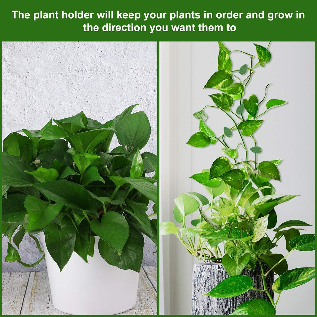 Geiserailie 60 Plant Climbing Clips Wall Fixture With 72 Stickers For Vine | Invisible Leaf Traction Fixer, Self-Adhesive Hook, Indoor Outdoor Use, Decoration, Clear Acrylic Sticker