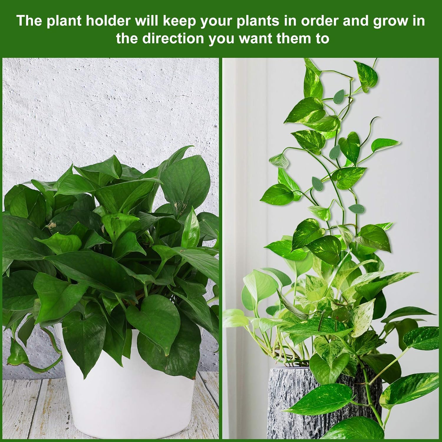 Geiserailie 60 Plant Climbing Clips Wall Fixture With 72 Stickers For Vine | Invisible Leaf Traction Fixer, Self-Adhesive Hook, Indoor Outdoor Use, Decoration, Clear Acrylic Sticker