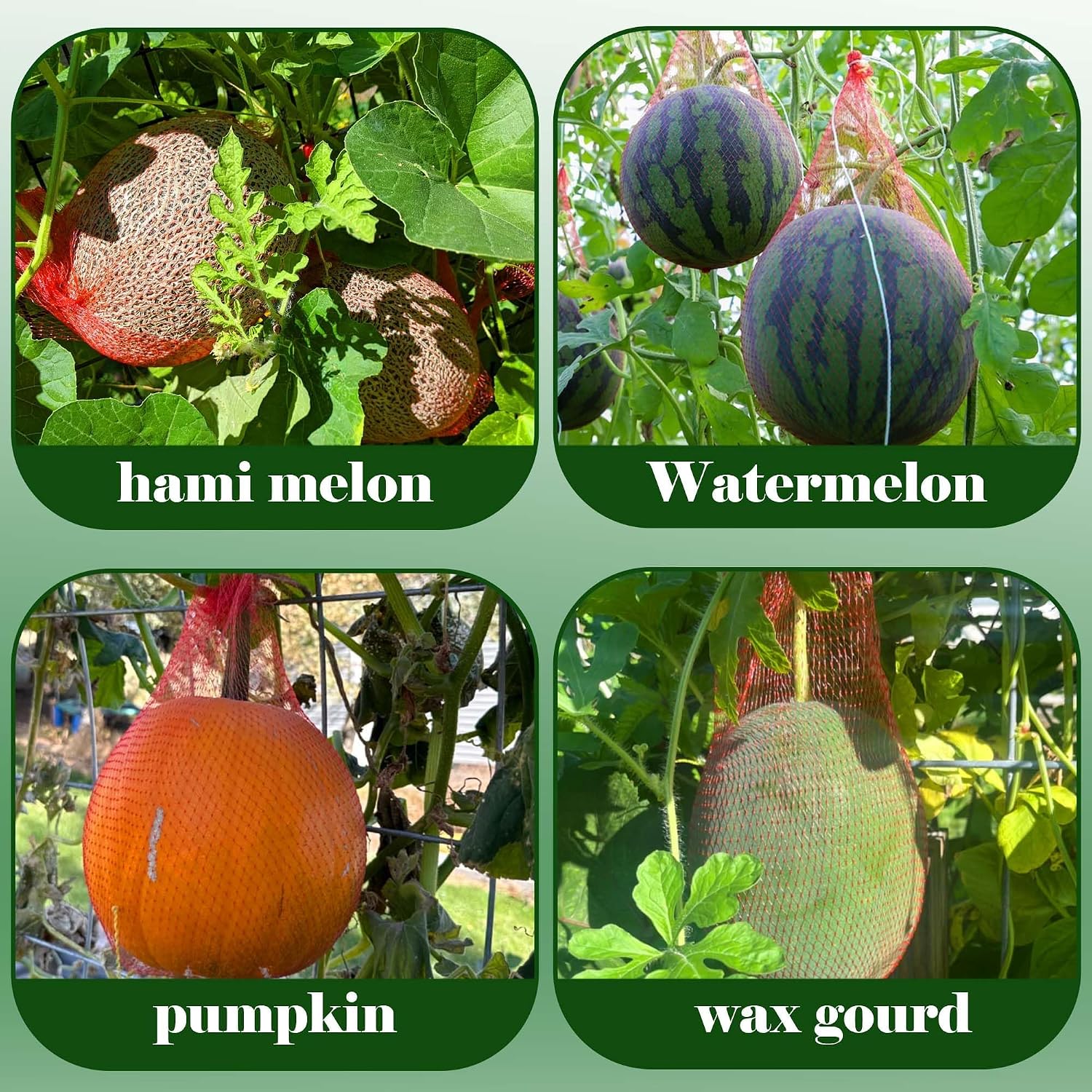 Iceyyyy 100 Pack Watermelon Nets,Hanging Watermelon Nets Bags Mesh,Reusable Melon Hammocks Cradles For Honeydew Melon,Cucumbers,Garden Growing