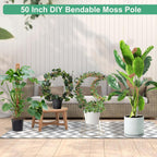 3 Pack Moss Pole, 50 Inch Monstera Plant Support, Tall Moss Poles For Climbing Plants Indoor Diy, Coco Coir Plant Pole Moss Plant Stick Support Stake Kit For Potted Plants, Pothos, Philodendron