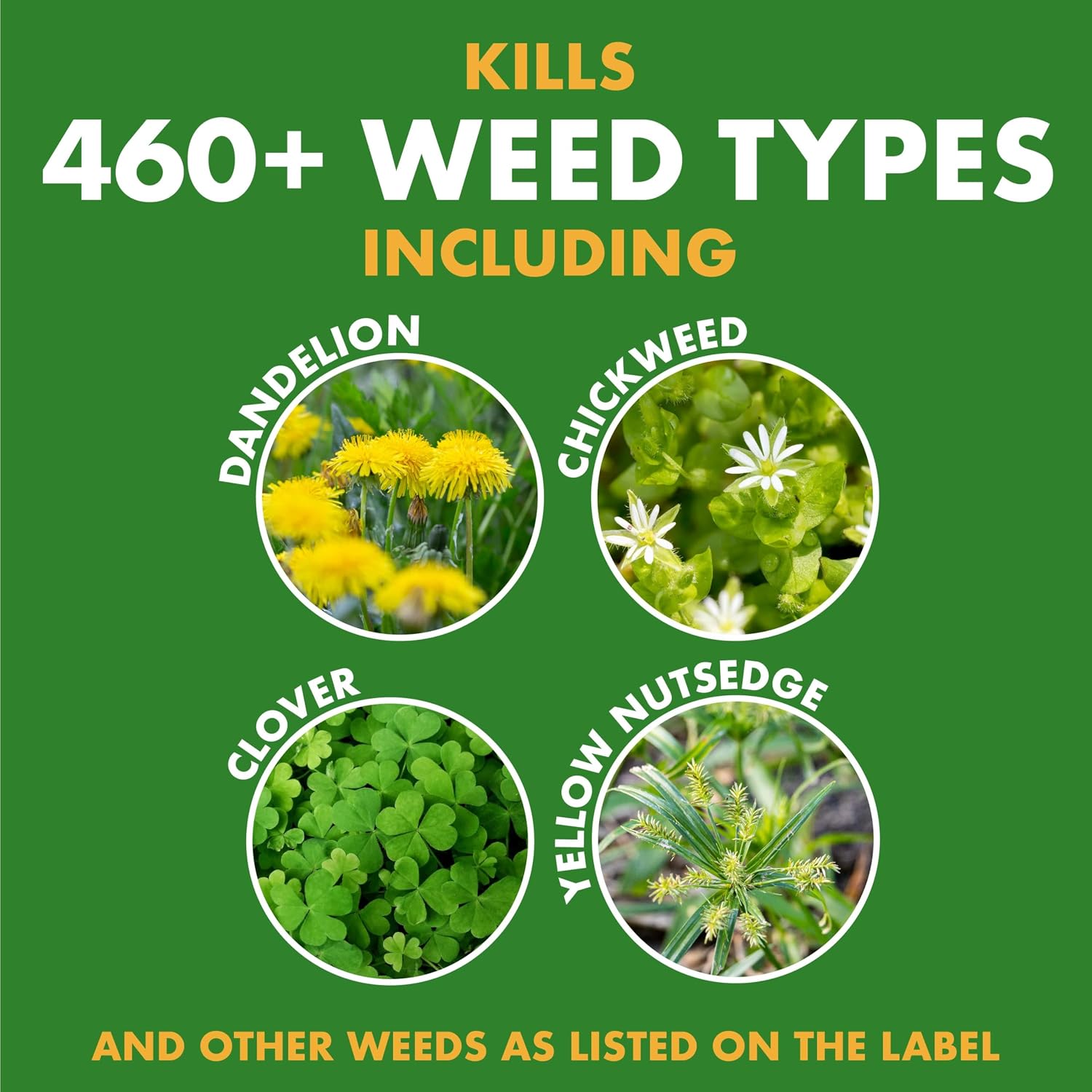 Spectracide Weed Stop For Lawns Concentrate 32 Ounces, Ready To Spray, Kills All Types Of Listed Broadleaf Weeds