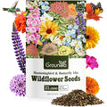25,000+ Wildflower Seeds Mix 1 Oz, 24 Varieties Perennial & Annual Seeds For Hummingbirds And Butterflies, High Germination Flower Seeds Throw And Grow To Plant Outside, No Filler