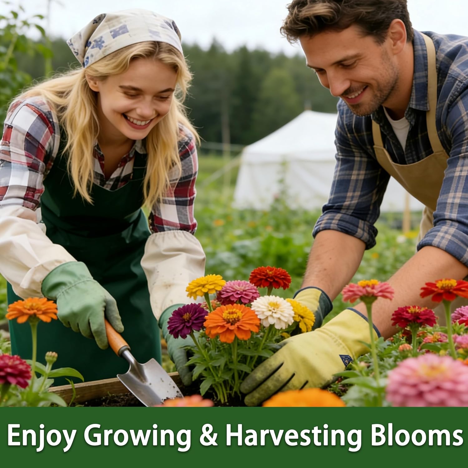 Zinnia Seeds, 6500+ Bulk Pack Mixed Colors Large Blooms Seeds, California Giant Zinnia Seeds For 2026, High Germination Non-Gmo, Wildflower Seeds For Planting Indoor Outdoor, Open Pollinated