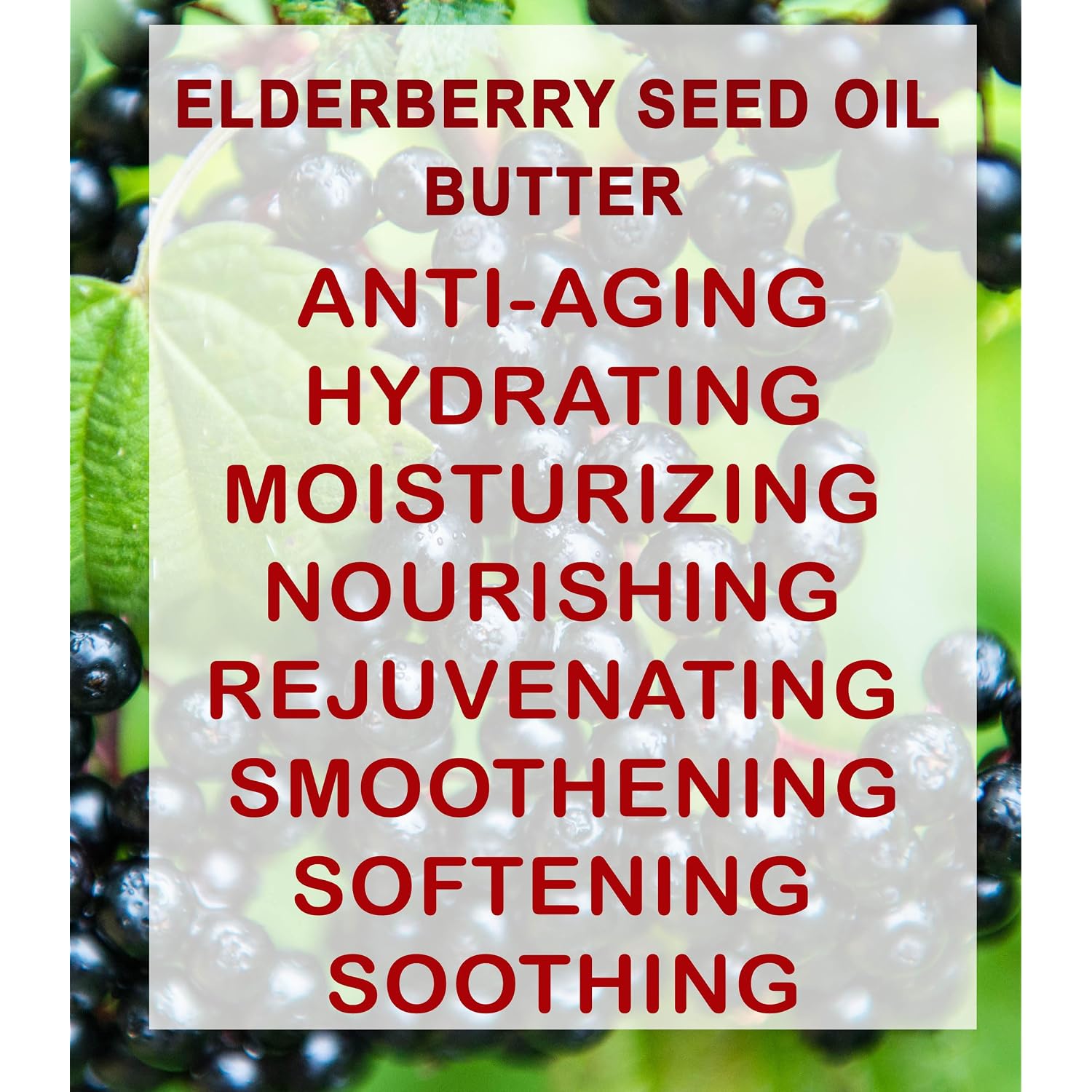 Botanical Beauty Elderberry Seed Oil Butter 100% Natural Pure Virgin Unrefined Raw For Face, Skin, Body, Hair, Nails, Dry Skin. Elderberry Oil, Coconut Butter, Vitamin E
