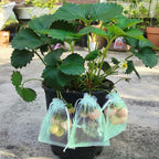 Mixc 50 Pcs Fruit Protection Bags,6''×8''Fruit Netting Bags For Fruit Trees Fruit Cover Mesh Bag With Drawstring Netting Barrier Bags For Plant Fruit Flower