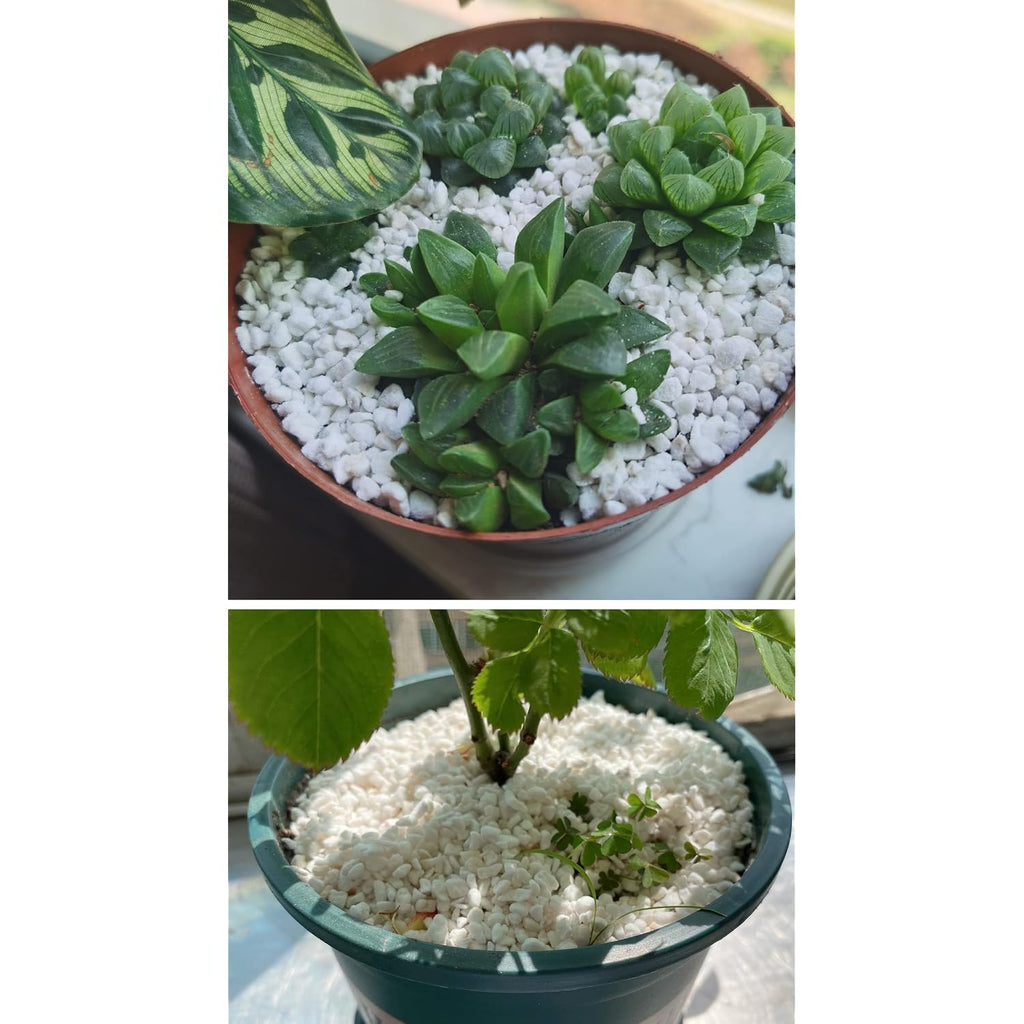 10Qt Organic Perlite Horticultural Soil Amendment For Plants And Enhanced Drainage Enhanced