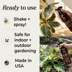Big Leaf Energy Organic Neem Oil Spray For Plants, Indoor + Outdoor, 16Oz | Ready-To-Use Plant Wash With Essential Oils For Multi-Purpose, Advanced Protection. Made In Usa. Non-Synthetic, No Alcohols