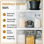 Dr. Killigan'S 6-Pack Pantry Moth Traps With Pheromones Prime - Premium Patented Double Strength Sticky Indian Meal Moth Traps For Kitchen And Pantry