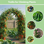 Rubfac 7.8Ft Garden Arch, Metal Trellis For Climbing Plants Outdoor | Dark Green Garden Arbors, Archway Frame For Flower Vines, Backyard Fall Decor, Halloween Christmas Decorations