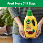 Miracle-Gro Liquid All Purpose Plant Food, Concentrate, 32 Oz. | Feeds Plants Instantly, For All Plant Types, Flowers, Vegetables, Trees, Houseplants