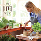 Planters' Choice 9 Herb Indoor Window Garden Kit - Birthday Gifts - House Plants Seeds - Best Unique Gift Ideas For Women, Mom, Friend, Her, Housewarming, Mother - Live Plant Starter, Gardening Lovers