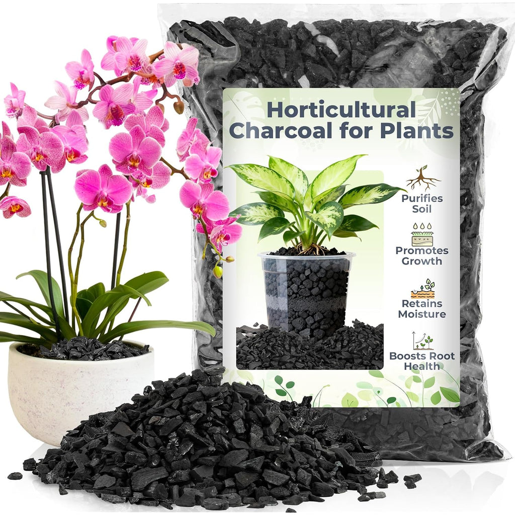 Sukh 1Qt Horticultural Charcoal For Plants - Organic Biochar Soil Amendment | Activated Charcoal For Plants, Succulents, Paphiopedilum, Bonsai, Terrarium, Gardening Potting Soil