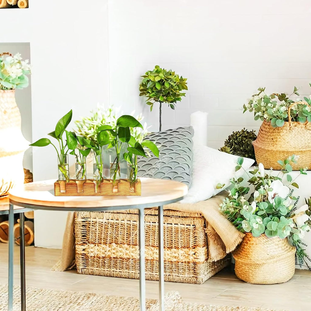Plant Propagation Station, Plant Terrarium With Wooden Stand | Plants Pots For Hydroponics, Small Birthday Gardening Gifts For Women Mom Plants Lovers Unique - 5 Glass Test Tubes Vases