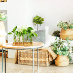 Plant Propagation Station, Plant Terrarium With Wooden Stand | Plants Pots For Hydroponics, Small Birthday Gardening Gifts For Women Mom Plants Lovers Unique - 5 Glass Test Tubes Vases