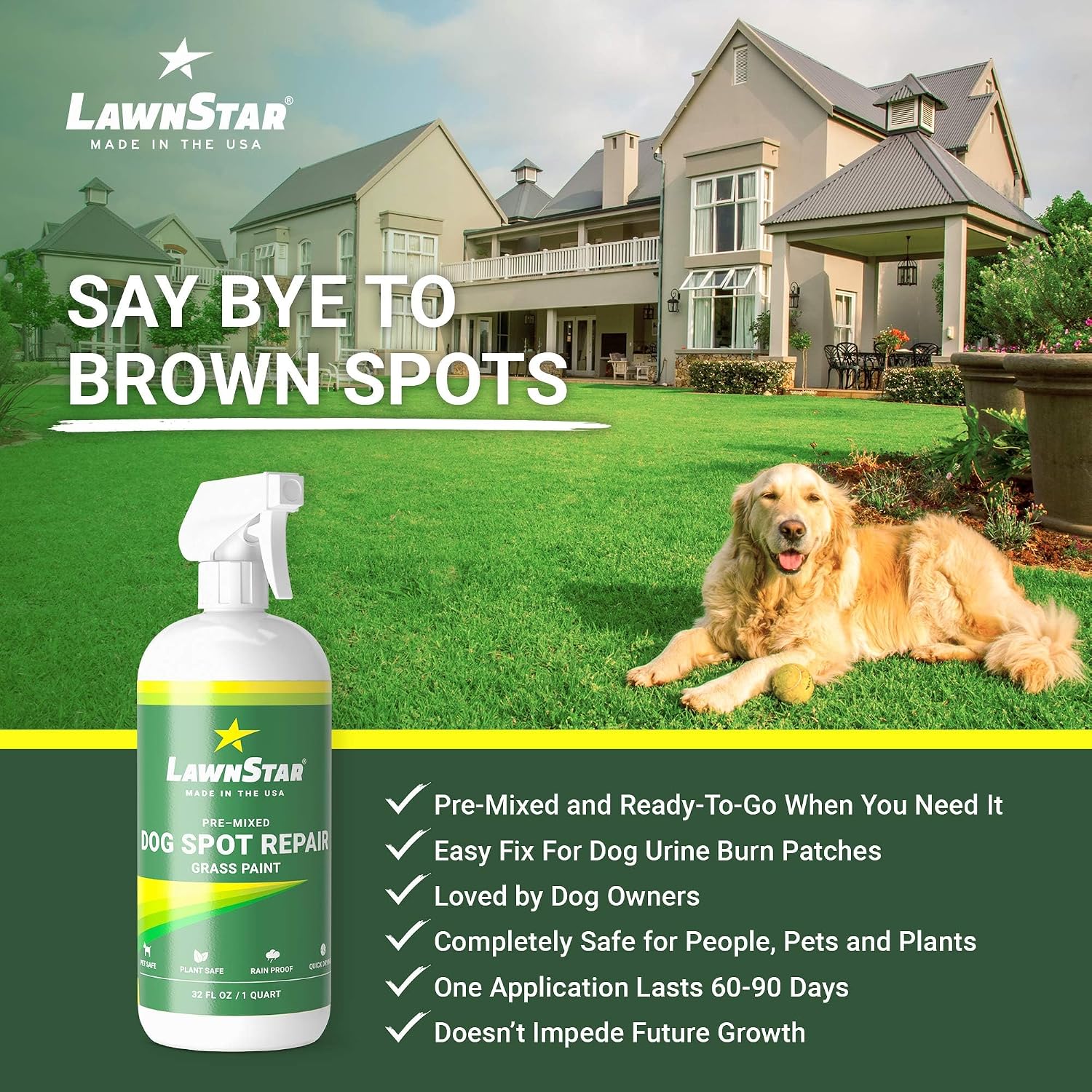 Dog Spot Repair Grass Paint, Pre-Mixed & Ready To Spray - Covers Brown Burn Patches On Lawn (32 Fl Oz)