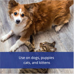 Farnam Flys-Off Insect Repellent For Dogs And Cats 6 Fluid Ounces