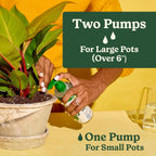 Miracle-Gro Indoor Plant Food For All Plants, 8 Fl. Oz. (2-Pack) | Liquid Plant Food For Houseplants, Flowers, Vegetables, Herbs, And More