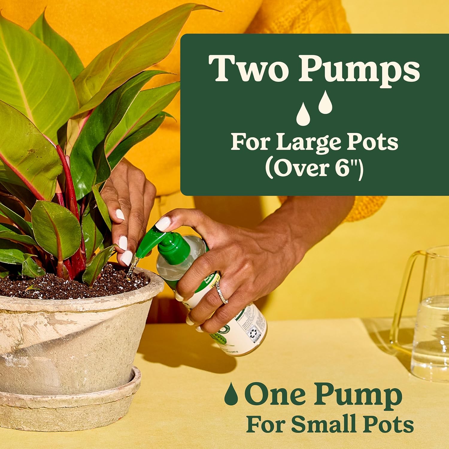 Miracle-Gro Indoor Plant Food For All Plants, 8 Fl. Oz. (2-Pack) | Liquid Plant Food For Houseplants, Flowers, Vegetables, Herbs, And More