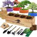 Bonsai Tree Kit, Bonsai Starter Kit With Seeds & Tools, Tree Live Plants Indoor, Gardening Gifts For Women Men Mom Father Plant Lover, Birthday Gifts For Women, Father Day Gifts