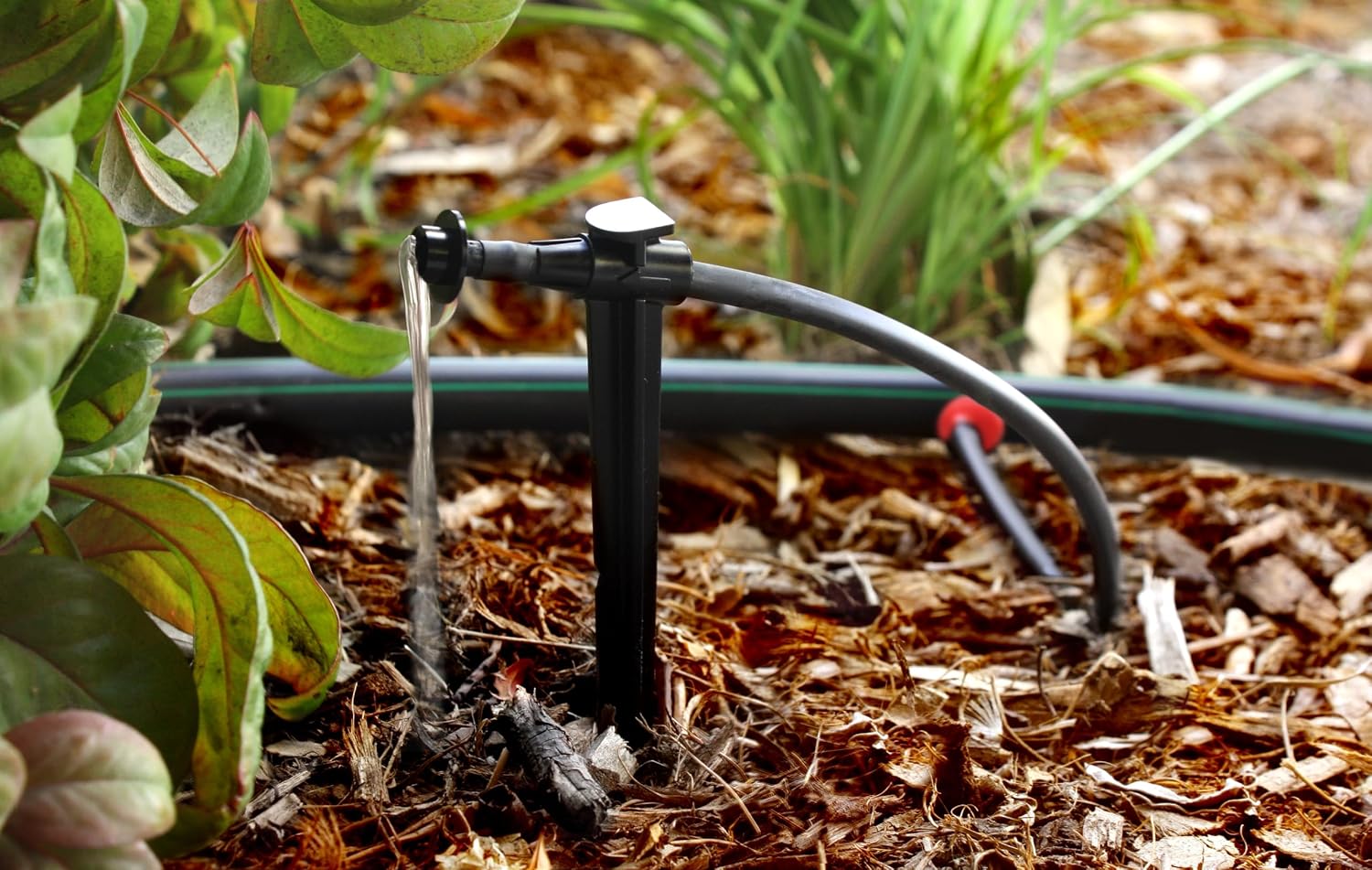 Rain Bird Sw20-30Ps Drip Irrigation Spot Watering Dripper/Emitter, 2 Gallon Per Hour, 30-Pack