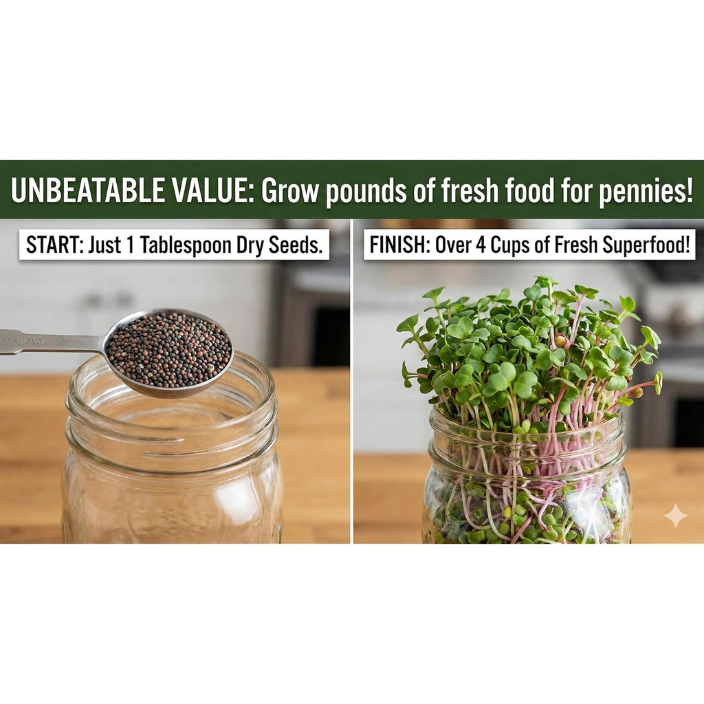Todd'S Seeds Broccoli & Friends Mix 1/4 Lb - Broccoli Alfalfa Radish Clover | Broccoli, Clover, Radish & Alfalfa. Fast-Growing Microgreens In 5 Days. Chemical Free, High Germination. Usa Made Since 2009.