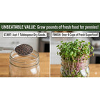 Todd'S Seeds Broccoli & Friends Mix 1/4 Lb - Broccoli Alfalfa Radish Clover | Broccoli, Clover, Radish & Alfalfa. Fast-Growing Microgreens In 5 Days. Chemical Free, High Germination. Usa Made Since 2009.