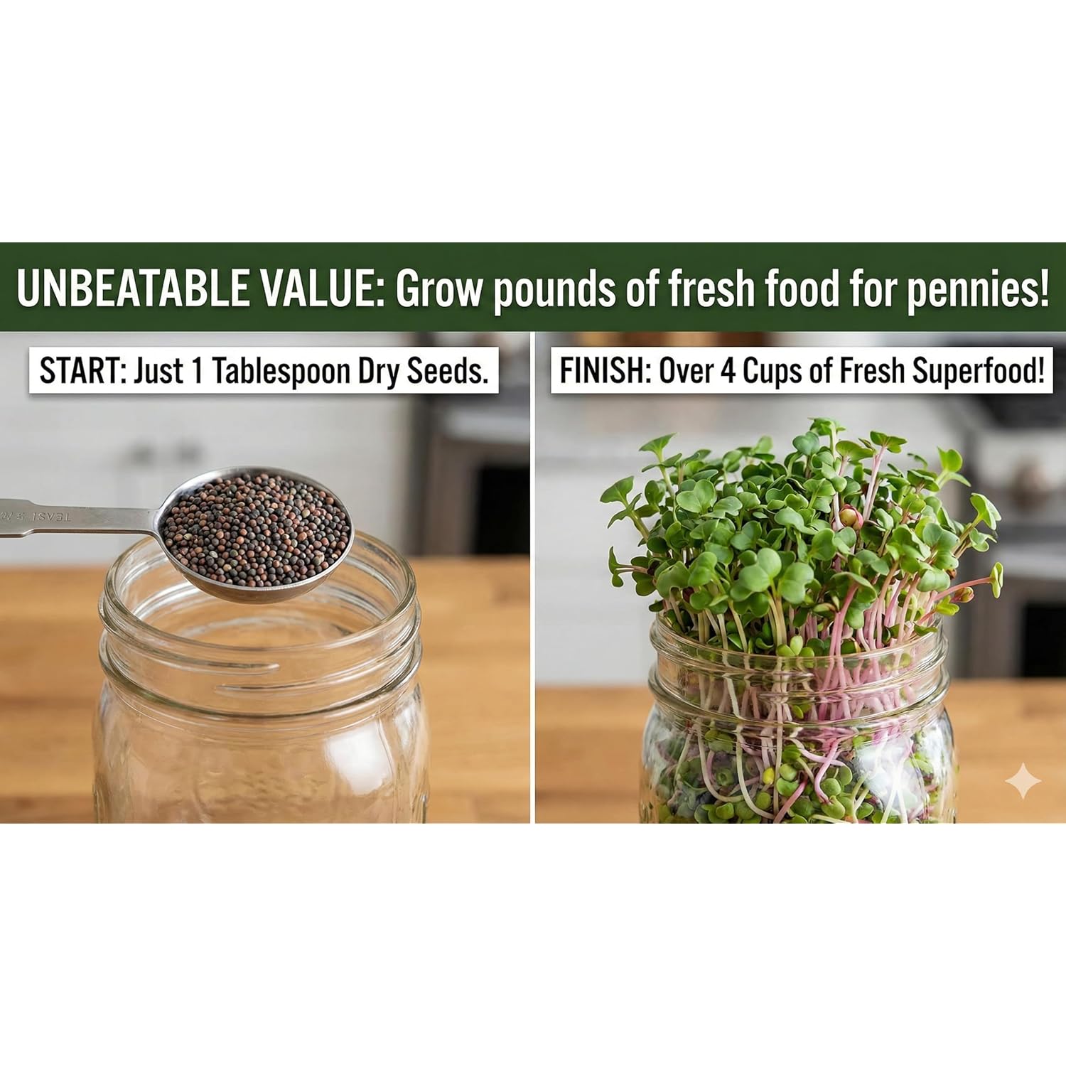 Todd'S Seeds Broccoli & Friends Mix 1/4 Lb - Broccoli Alfalfa Radish Clover | Broccoli, Clover, Radish & Alfalfa. Fast-Growing Microgreens In 5 Days. Chemical Free, High Germination. Usa Made Since 2009.