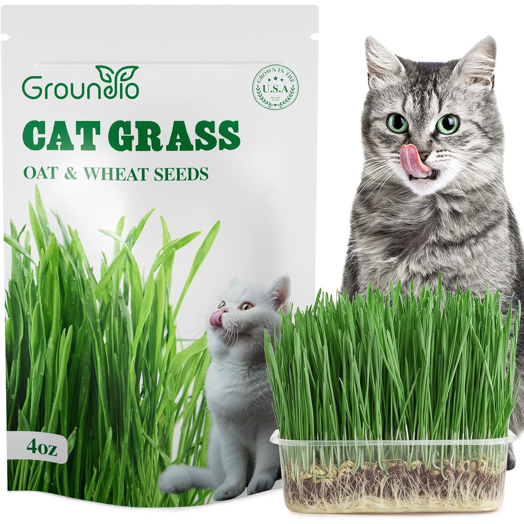 Cat Grass Seeds 4 Oz | Wheat & Oat Seeds Mix