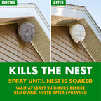 Spectracide Foaming Wasp & Hornet Killer, Blanketing Foam Kills By Contact, 14 Ounces, 3 Pack