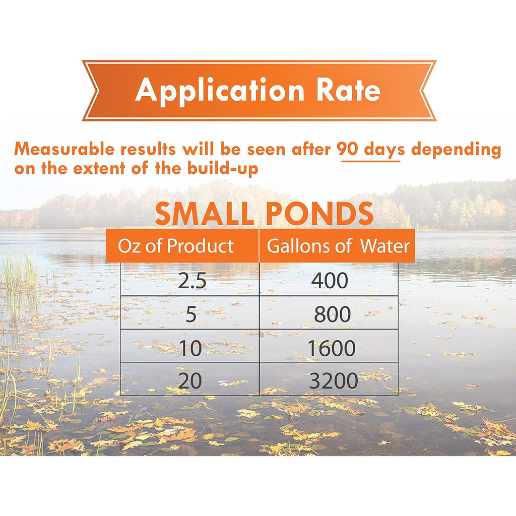 Pondworx Pond Bacteria - Formulated For Large Ponds, Water Features And Safe For Koi - Gallon