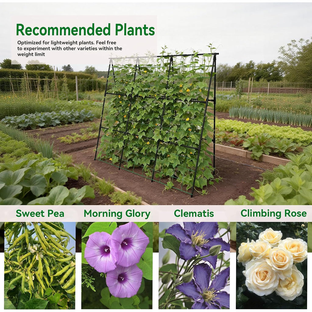Cucumber Trellis - 49.4"*49.4" Metal Garden Trellis For Climbing Plants, Garden Trellis With Plastic-Coated Steel Pipe, A Frame Trellis For Cucumbers, Peas, Morning Glories(Black)