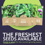 Organic Herb Seeds Variety Pack - 10 Individual Packs - 2026 Season - Basil, Cilantro, Dill, Thyme, Parsley And More! For Indoor & Outdoor Planting (Non-Gmo, Certified Organic)