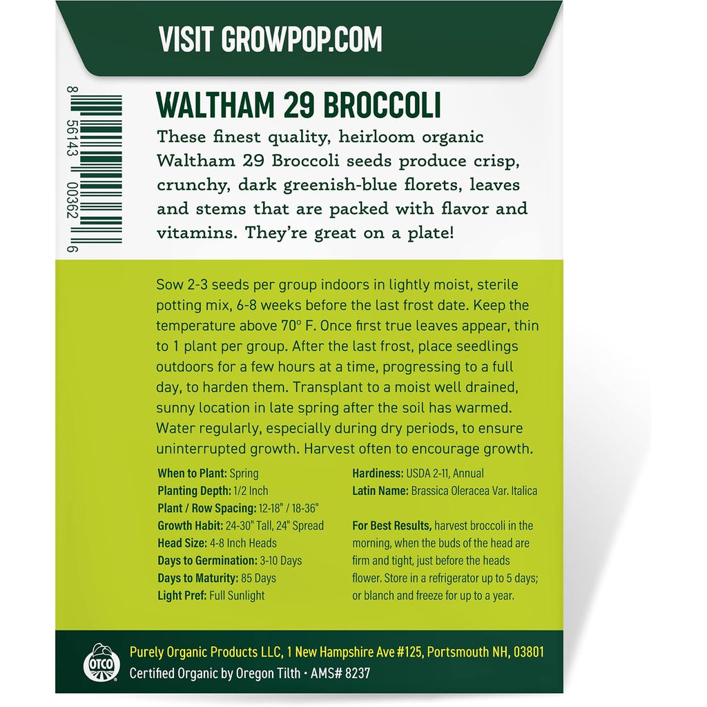 Purely Organic Broccoli Seeds (Waltham 29) - Approx 750 Seeds - Usda Organic, Non-Gmo, Open Pollinated, Heirloom, Usa Origin