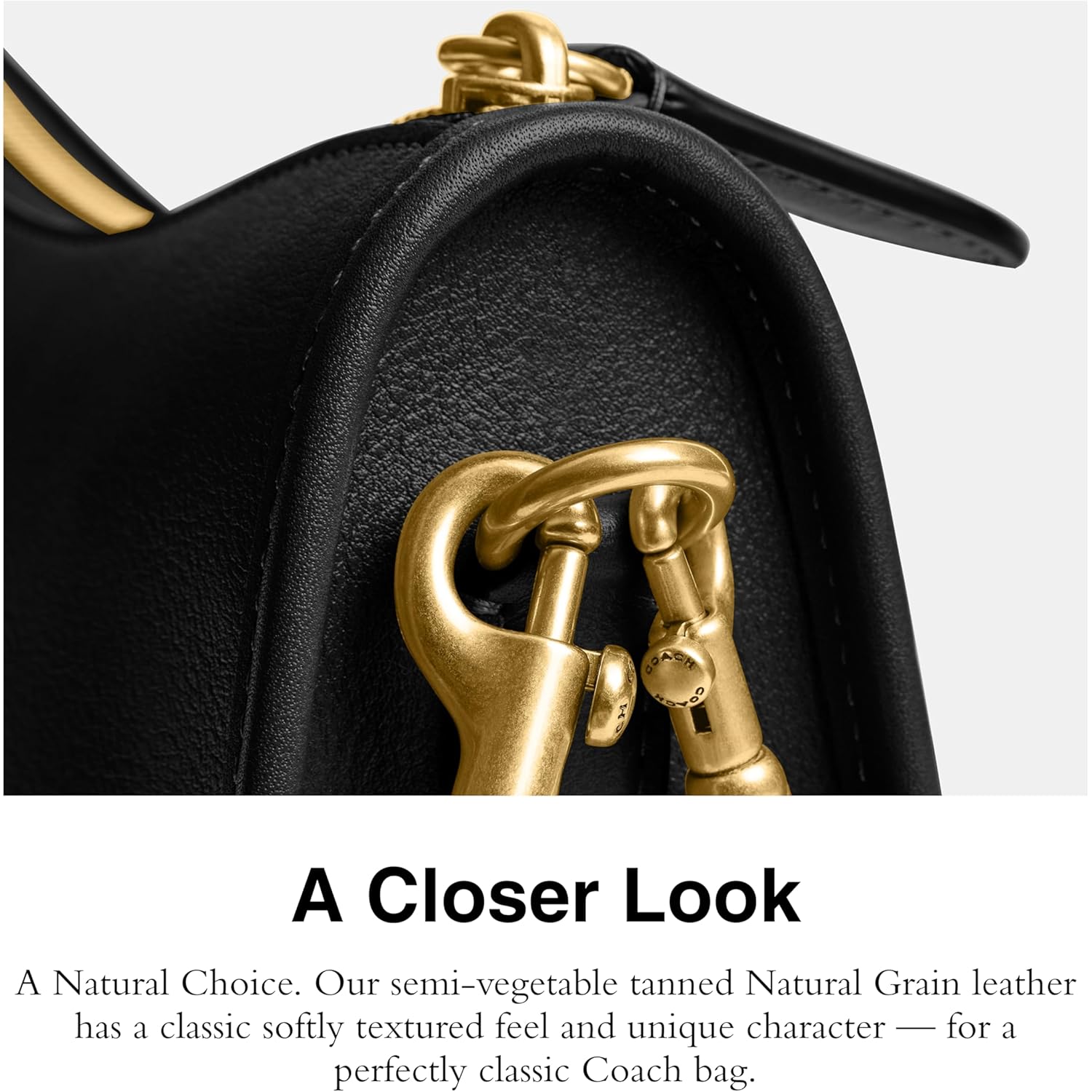 COACH Women's Natural Grain Leather Waverly Bag