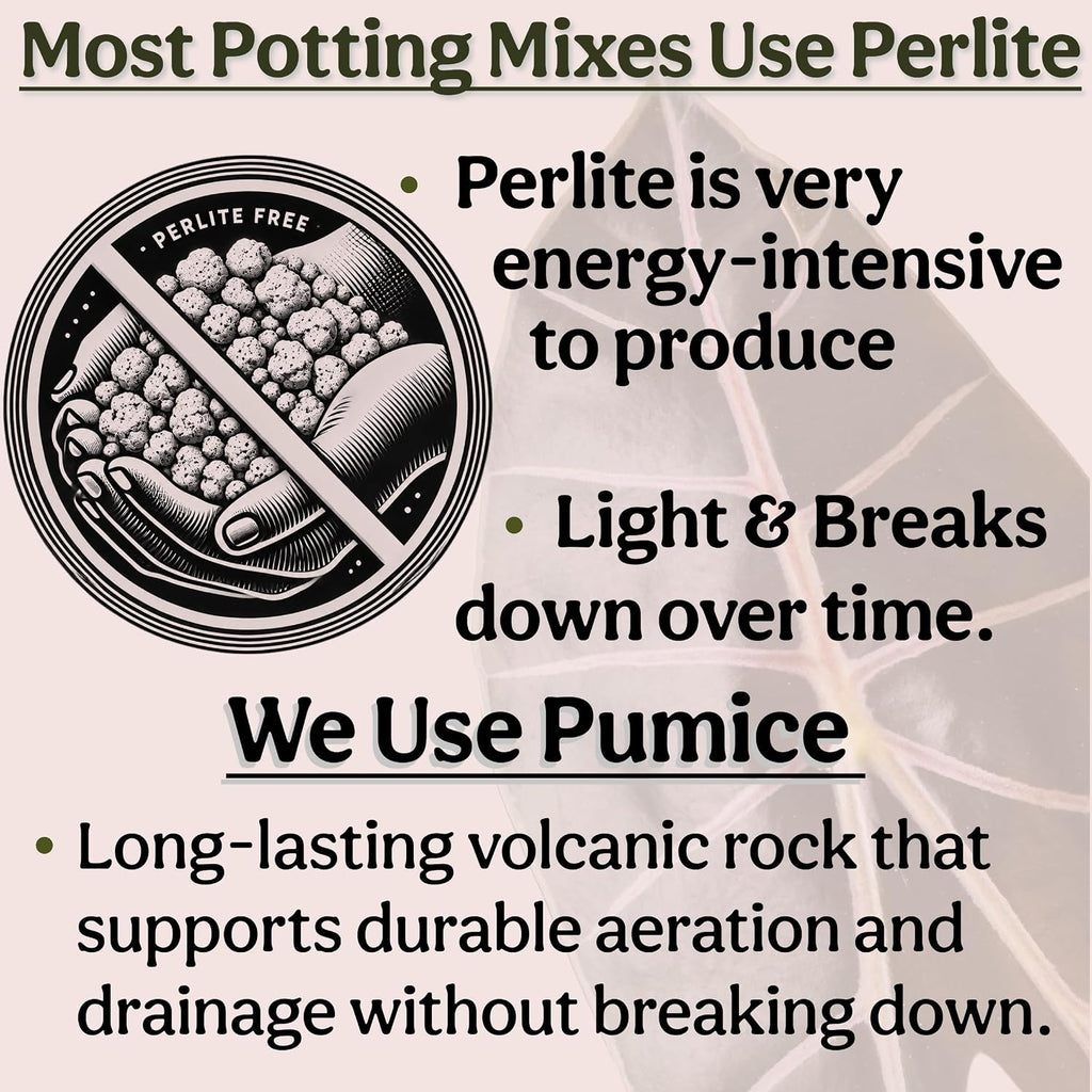 Craft Organic Houseplant Potting Mix, Elite House Plant Soil, Chunky, Well Draining Potting Soil For All Indoor Plants, Tropical Plants & Flowers, Sustainable & Peat Free, Less Prone To Gnats, 2Qt