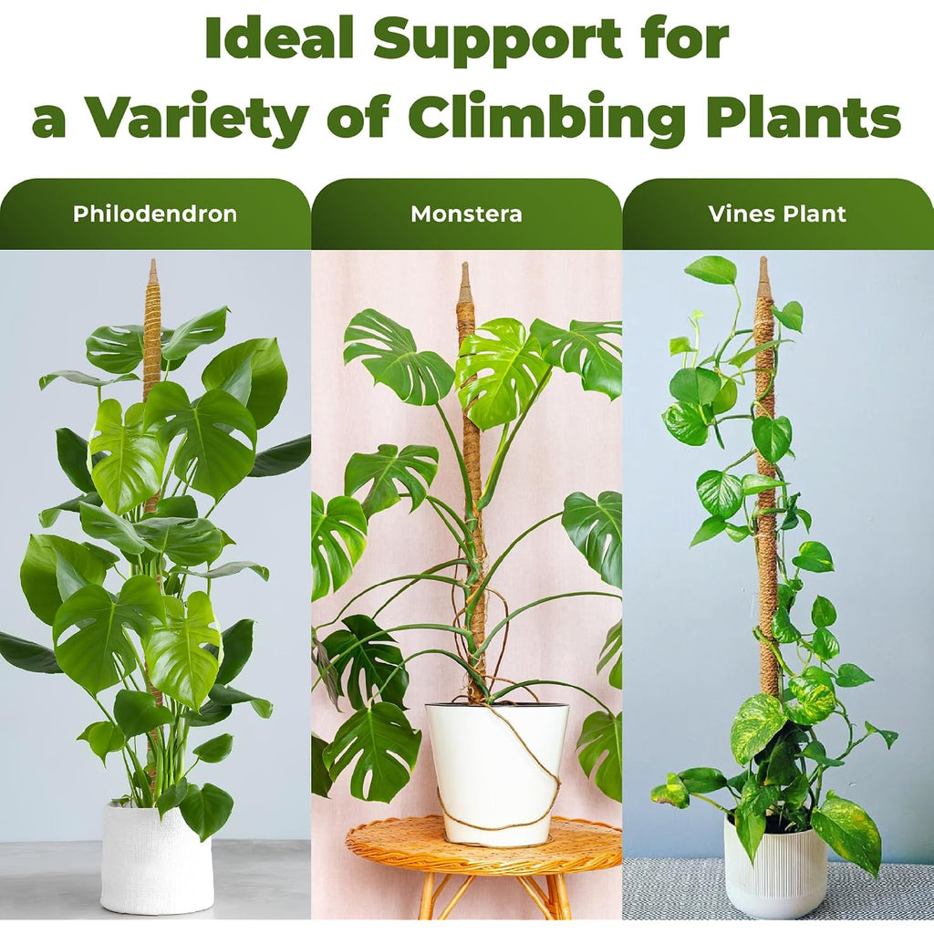 2 Pack 48'' Bendable Moss Pole Monstera Plant Support For Climbing Indoor Plants - Stakes For Potted Climbers - Tall Sticks Indoor Trellis For Houseplants - Accessories For Monstera Pot