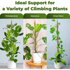 2 Pack 48'' Bendable Moss Pole Monstera Plant Support For Climbing Indoor Plants - Stakes For Potted Climbers - Tall Sticks Indoor Trellis For Houseplants - Accessories For Monstera Pot