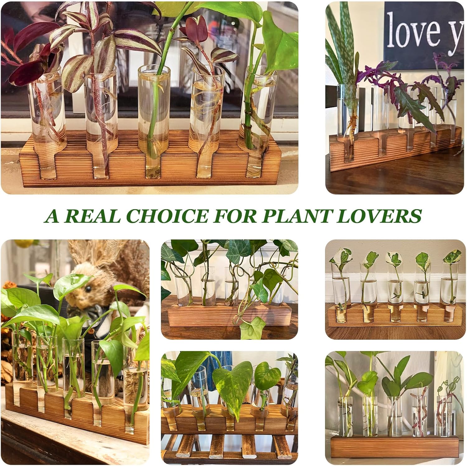 Plant Propagation Station, Plant Terrarium With Wooden Stand | Plants Pots For Hydroponics, Small Birthday Gardening Gifts For Women Mom Plants Lovers Unique - 5 Glass Test Tubes Vases