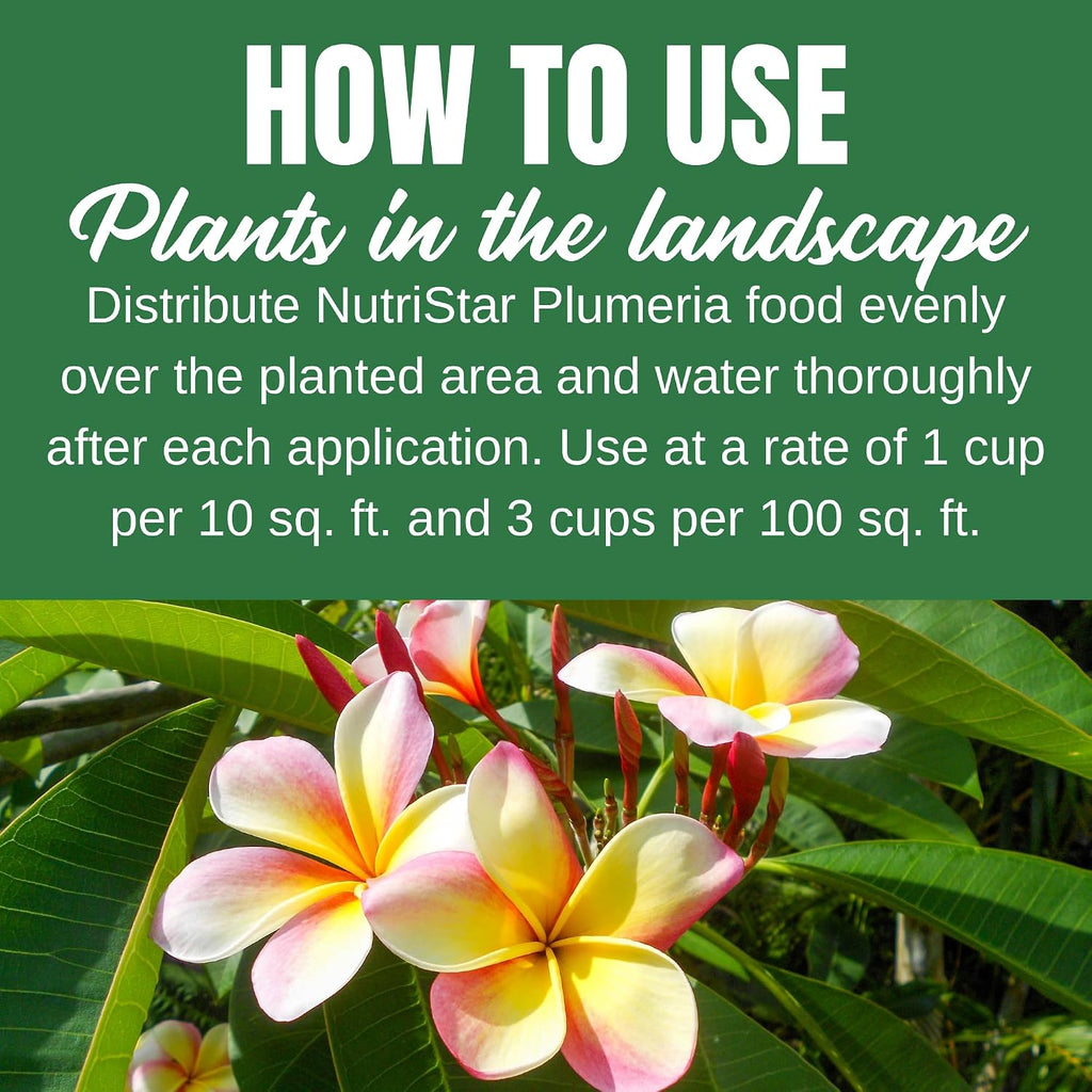 Nelson Plumeria Plant And All Flowering Tropicals Food Ferns Orchids Lilys In Ground Container Patio Grown Granular Fertilizer Nutristar 5-30-5 (2 Lb)