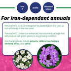 Jack'S Classic 20-6-22 Petunia Feed Water-Soluble Fertilizer With Micronutrients, 1.5Lbs - Provides Lush Green Annuals
